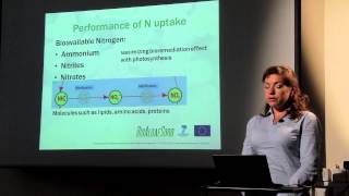 BioAlgaeSorb bioremediation and algal growth presentation Dr Alla Silkina [upl. by Eneres]