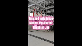 Inside Look at Modern Pig Abattoir Slaughter Line Hog Slaughterhouse Equipment List Pork Processing [upl. by Anialem]