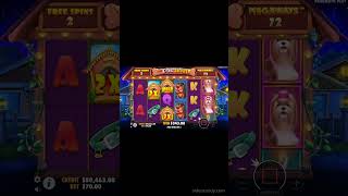 The Dog House Megaways Slot Bonus MEGA WIN casino slot bonus shorts [upl. by Maretz356]