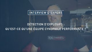 Détection d’explosifs  qu’estce qu’une équipe cynophile performante [upl. by Gies943]