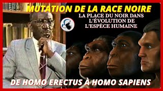 Cheikh anta DIOP L apport de l Afrique dans la civilisation universellemotif deplacement [upl. by Kensell]