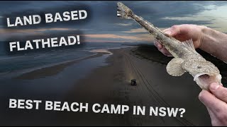 TONS OF FLATHEAD at the BEST BEACH 4WD CAMP IN NSW Pebbly Beach Yaraygir National Park NSW Pt 2 [upl. by Nuj413]