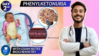 phenylketonuria biochemistry  protein metabolism biochemistry  phenylalanine metabolism defect [upl. by Leela]