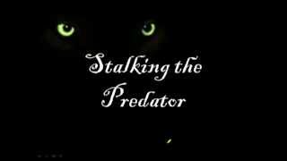 W06 Stalking The Predator Webinar Trailer [upl. by Ayotl]