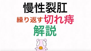 慢性裂肛「繰り返す切れ痔」の解説 [upl. by Gillead]