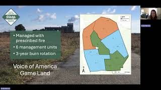 SciComm Webinar Demography habitat use and genetic structure of Henslows Sparrows in NC [upl. by Thorfinn]