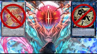 TCG Banlist Prediction August 2024 [upl. by Wain]