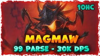 Magmaw 10HC 304K DPS 99 Parse  Cataclysm Retribution Paladin [upl. by Mullen]