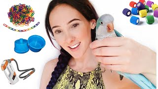 10 Things I Wish I Had As A Beginner Parrot Owner [upl. by Caruso]