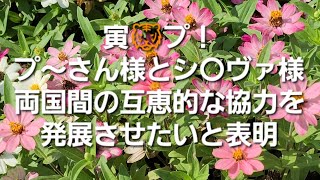 20231029 プ～さん🐻様の健康状態に問題はない👀✨妨げのないアクセスを確保することの重要性が強調された👏✨新たな現実が考慮されるのであれば、対話に前向きであることを再確認した✨️ [upl. by Torto]