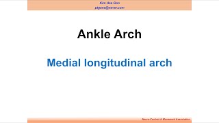 2022 기능해부학 발목과 발관절 기말  발목의 안쪽세로활의 기능 Medial longitudinal arch [upl. by Diana]