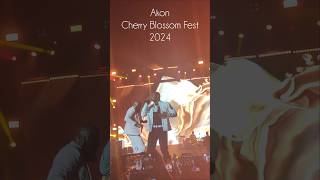 Akon concertCherry blossom fest 2024akonbeautifulday [upl. by Sihun]