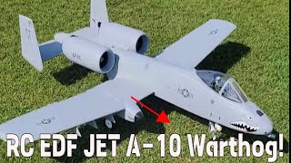 A10 Warthog Discover the Power of Freewing A10 Twin 80mm RC Jet [upl. by Saucy]