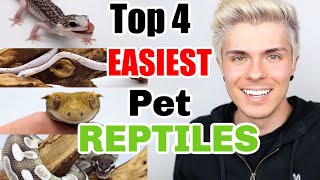 Top 4 EASIEST Pet Reptiles [upl. by Hazeghi]