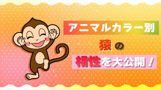 【動物占いR】猿のアニマルカラー別相性を大公開！ [upl. by Risley]