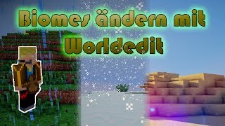 Biome ändern mit Worldedit  Minecraft Tutorial  TRyzes FlashLightTV [upl. by Anirual786]