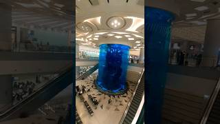 📍Jeddah New Airport In side 😍🥰 saudarabia travel shortvideo jeddah muslimcountry [upl. by Carce]