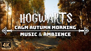 A Calm Autumn Morning at Hogwarts  4K Harry Potter Music amp Ambience [upl. by Stefano]