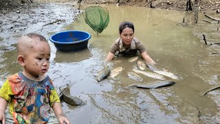 35days harvesting luffa bamboo shoots giant tubers corn fish to sell at the market  daily life [upl. by Yrolg]