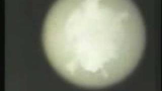 Declassified US Nuclear Test Film 62 [upl. by Hali577]