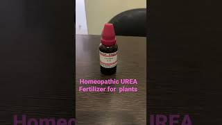 HomeopathicUreaFertilizer for plantsHomeoGardeningshortsHomeopathyForPlantsagrohomeopathy [upl. by Elleved]