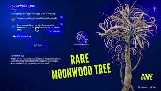 Rare Moonwood Tree Bark Location Avatar Frontiers of Pandora [upl. by Aenehs107]