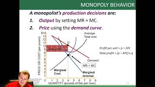 chapter 7 monopoly [upl. by Aikkan]