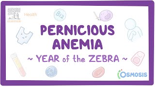 Pernicious Anemia Year of the Zebra [upl. by Lohrman]