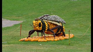 Blühendes Barock Ludwigsburg Kürbisausstellung [upl. by Lilian]