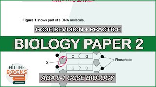 GCSE Biology Paper 2  Exam Questions and Revision [upl. by Frodi]