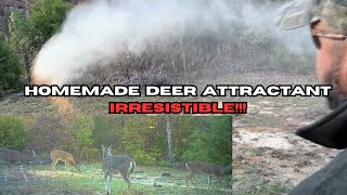 HOMEMADE DEER ATTRACTANT IRRESISTIBLE [upl. by Lowis]