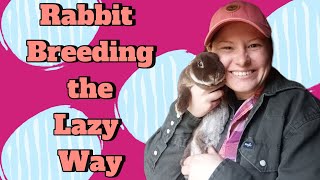 Our Low Maintenance Way of Breeding Rabbits [upl. by Vaenfila]