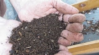 Lawn clippings amp tree mulch compost making [upl. by Anicnarf]