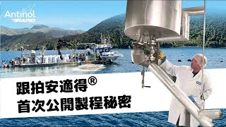 跟拍安適得® 首次公開製程秘密🔍️ [upl. by Nylemaj474]