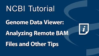 Genome Data Viewer Analyzing Remote BAM Alignment Files and Other Tips [upl. by Arundell]