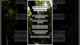 Amazing facts about forest 🌵😮 ytshorts facts forest [upl. by Auberbach]