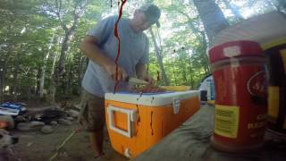 Camping Crawford Notch 2016 [upl. by Nordna]