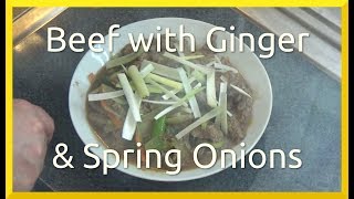 Beef with Ginger and Spring Onions [upl. by Daniela]