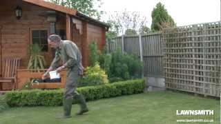 How to Over Seed a Lawn after Raking or Scarifying [upl. by Nhtanhoj400]