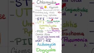 Chlamydia trachomatis Bacteria STI UTI PID Conjunctivitis Pneumonia biology doctor nurse [upl. by Aklog]