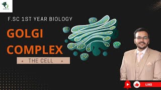 Golgi complex structure and functionChapter4 THE CELLFSc part 1 Biology [upl. by Gosney]