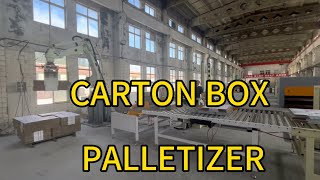 Palletizer  Inline packed carton box mechanical arm stacker crane manipulator [upl. by Odnanref]