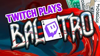 Twitch plays Balatro [upl. by Nyloj]