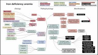 Iron deficiency anemia mechanism of disease [upl. by Onitnevuj]