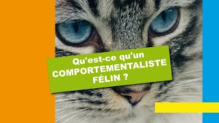 Questce quun comportementaliste félin [upl. by Enytsirhc]