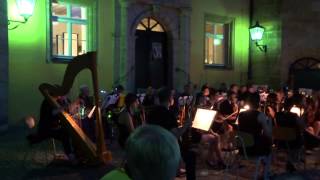 Collegium Musicium Hersbruck mit der Serenade am Schlosshof 2014 [upl. by Hepsibah]