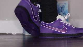 I PICKED UP WHAT NIKE x CNCPTS SPECIAL BOX Purple Lobster SB Dunk review  On Foot [upl. by Stockmon]