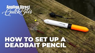 How To Set Up A Deadbait Pencil – Predator Fishing Quickbite [upl. by Camile]