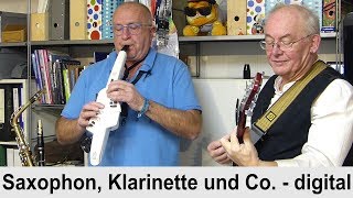 Saxophon Klarinette und Synthesizer als Blasinstrument  HIZ164 [upl. by Hekker]