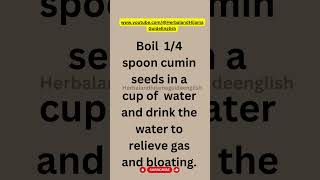 Cumin Seed Tea Natural Relief for Gas and Bloating ytshortsfeedshorts viralshort [upl. by Eran]